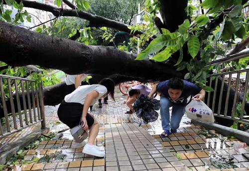 这场超级台风，暴露了中国经济四个意味深长的问题！