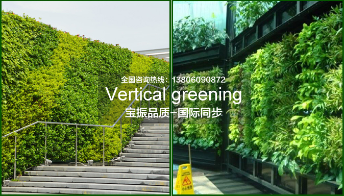 垂直绿化植物墙景观动态变化主要由这两方面决定